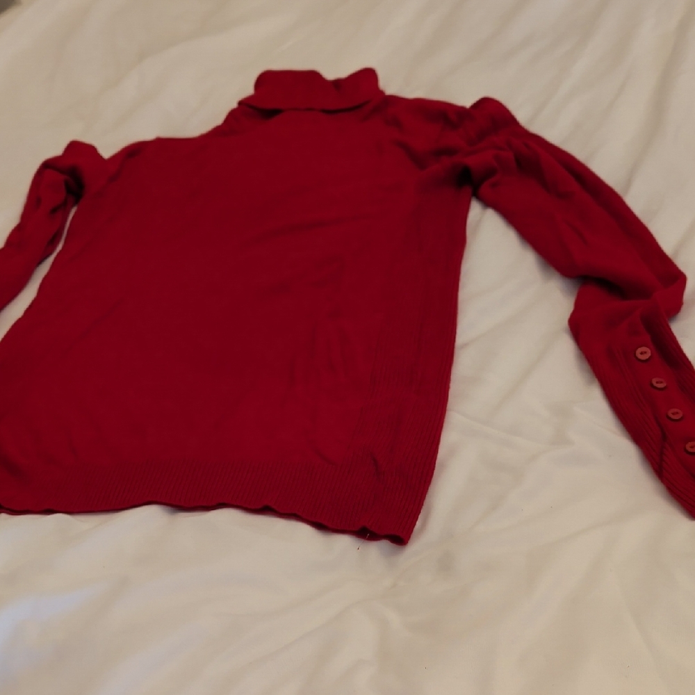 Danier Scarlet Turtleneck Sweater
